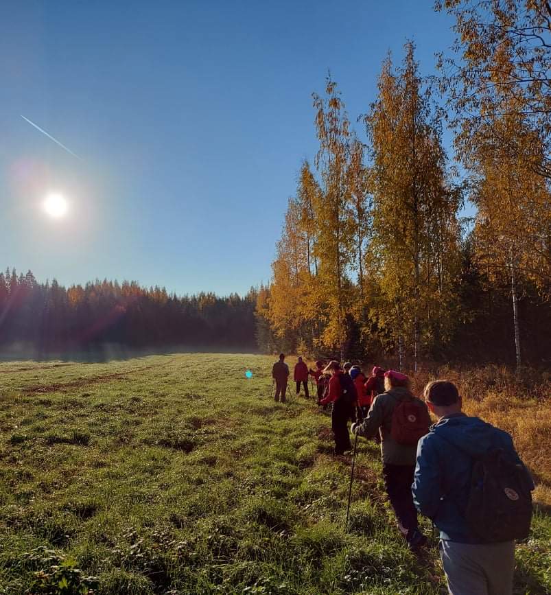 Imatran Lapinkävijät ry – Uusi Suomen Latu Multisite -sivusto